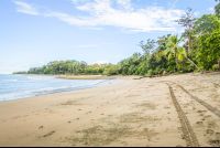Tamales Beach Stretch
 - Costa Rica