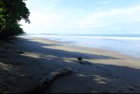        hermosa beach attraction dominical log 
  - Costa Rica