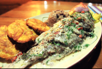        coral caribe coconut broiled red snapper 
  - Costa Rica