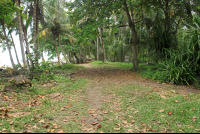        playa chiquita path 
  - Costa Rica