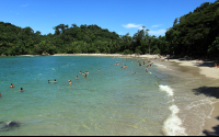        manuel antonio white sand clear water  
  - Costa Rica