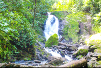        San Pedrillo Waterfall San Pedrillo Station Corcovado
  - Costa Rica