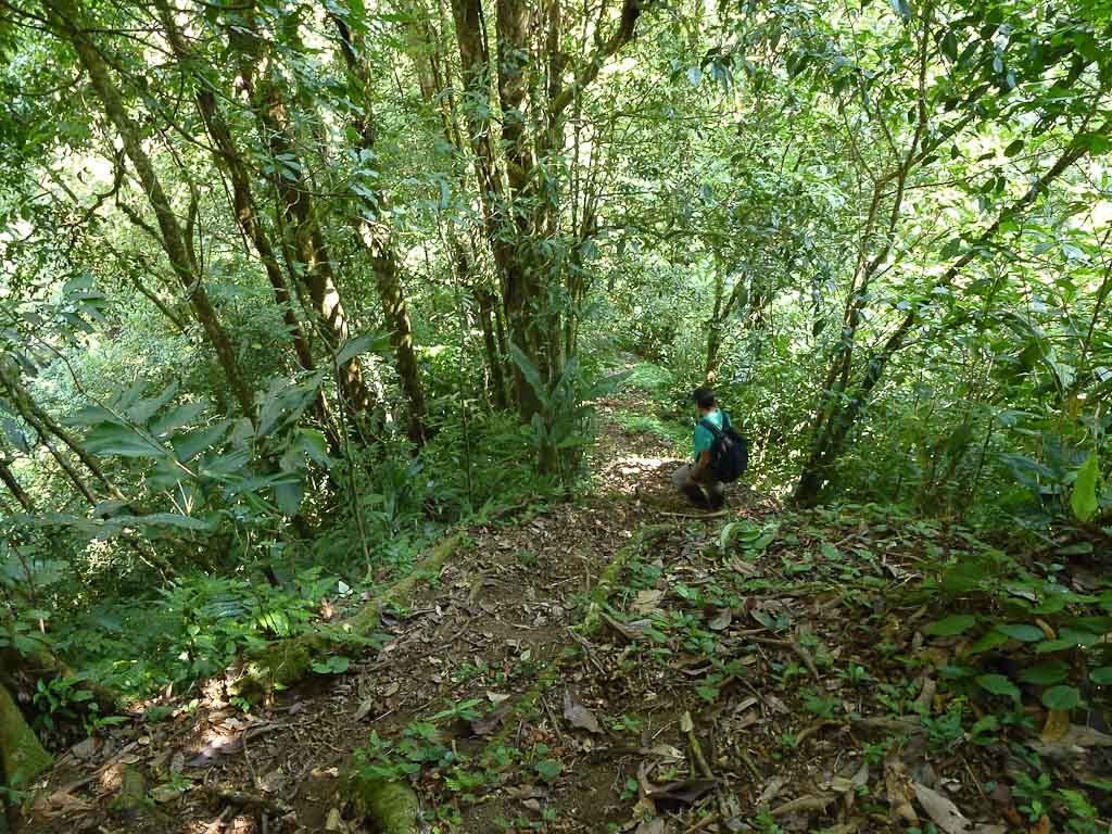 crossing childrens ete rnfrst downhill 
 - Costa Rica