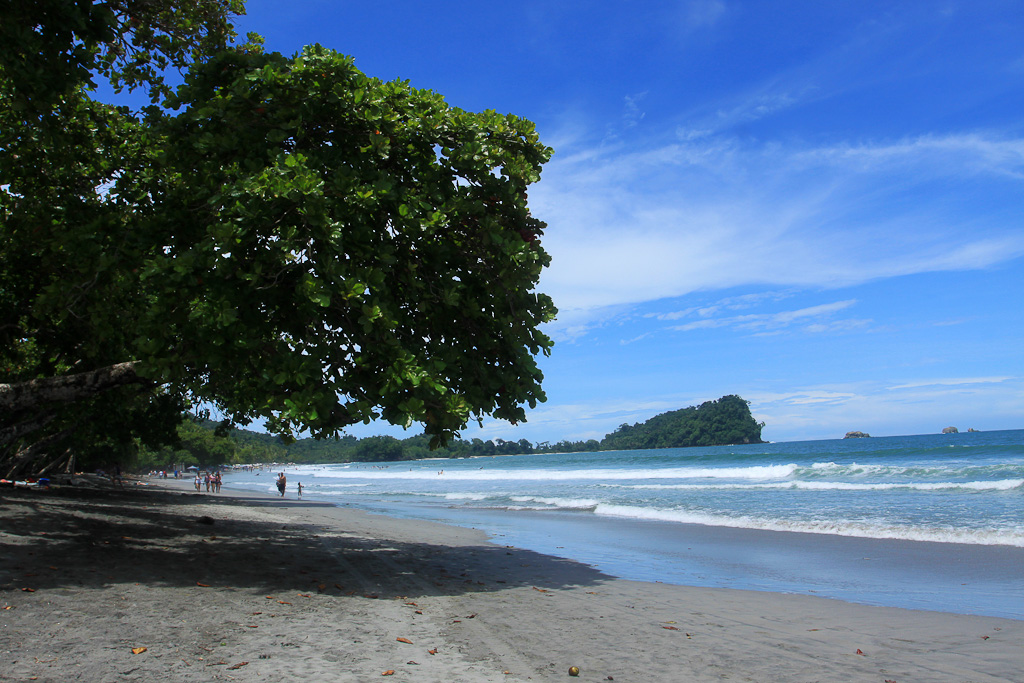         things to do manuel antonio beach tree 
  - Costa Rica