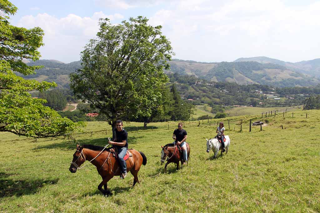        helaconia ranch horses 
  - Costa Rica