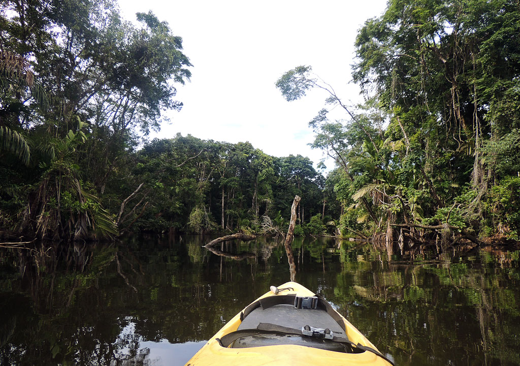        how conservation saved tortuguero blog lagoon 
  - Costa Rica
