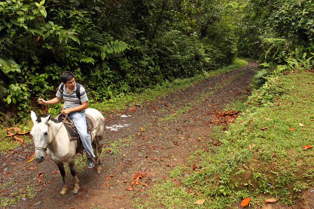        horse guide sueno azul
  - Costa Rica