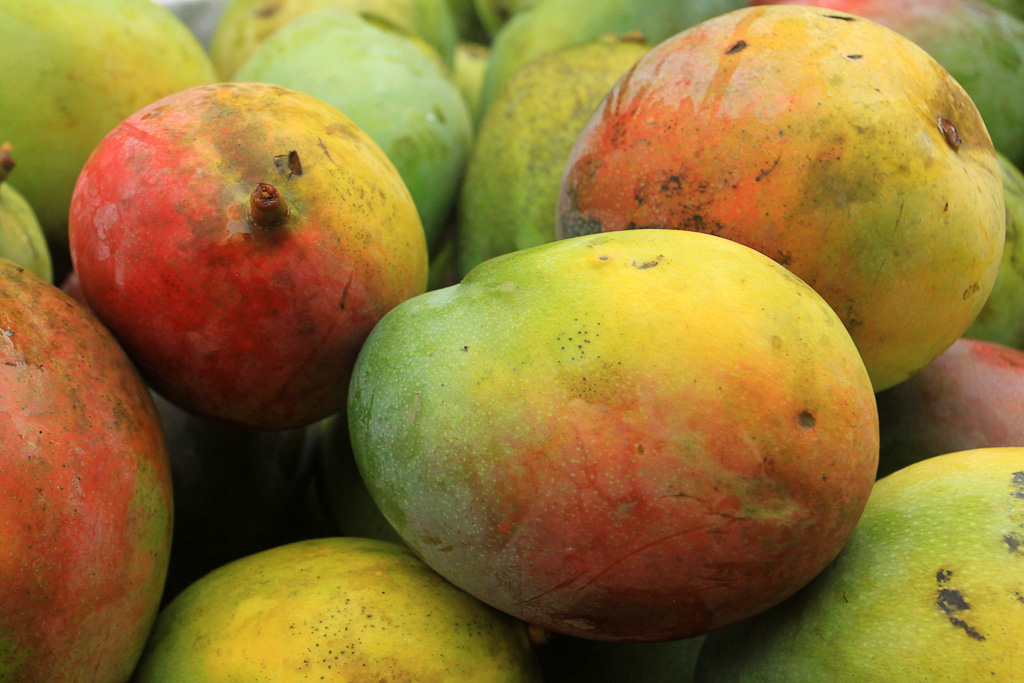        eating cheap mangoes 
  - Costa Rica