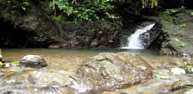 Lomas de Barbudal Biological Reserve - Costa Rica