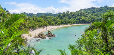 Pacific Beaches & Rainforest Region - Costa Rica