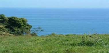 Property with Space for Three Different Building Lots - Costa Rica