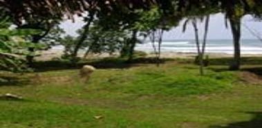 Beachfront House 4 - Costa Rica