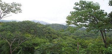 128 Mountain Acres on Monkey Trail - Costa Rica
