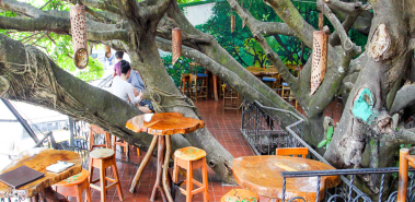 Tree House - Costa Rica