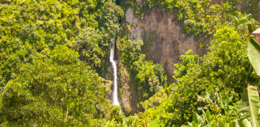 Tapanti National Park - Costa Rica