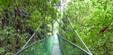 Tirimbina Rainforest Center and Wildlife Refuge - Costa Rica