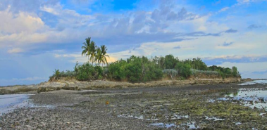 The Cabuya Island – a tropical cemetery - Costa Rica