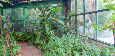Monteverde Butterfly Garden - Costa Rica