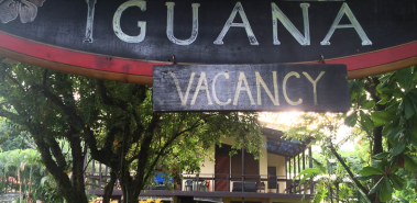 Gilded Iguana Hotel - Costa Rica